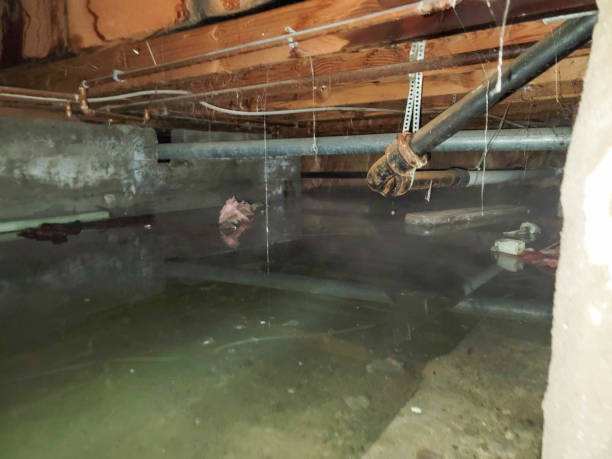 Trusted Kapaa, HI Water damage restoration Experts