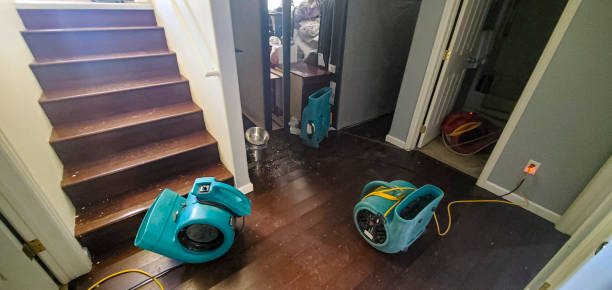 Best Emergency water damage restoration  in Kapaa, HI