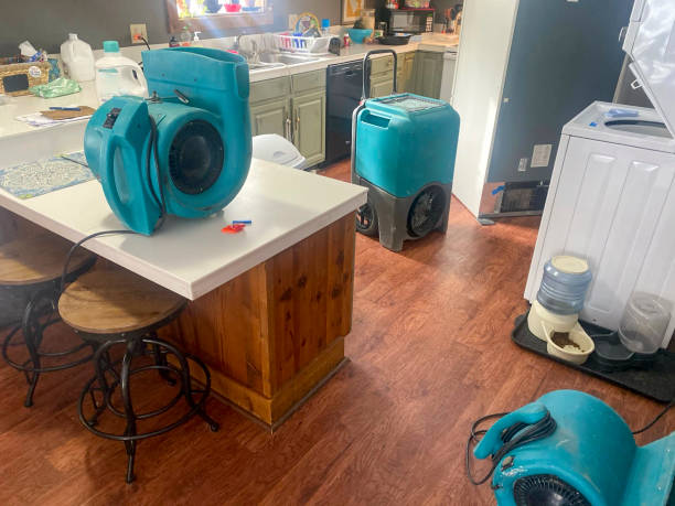 Best Fire Damage Restoration  in Kapaa, HI
