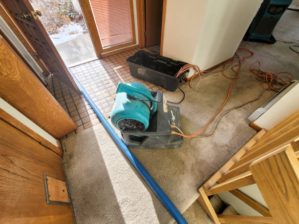 Best Emergency water damage restoration  in Kapaa, HI