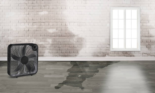 Sewage cleanup and water damage restoration in Kapaa, HI
