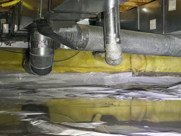 Best Water damage mitigation services  in Kapaa, HI