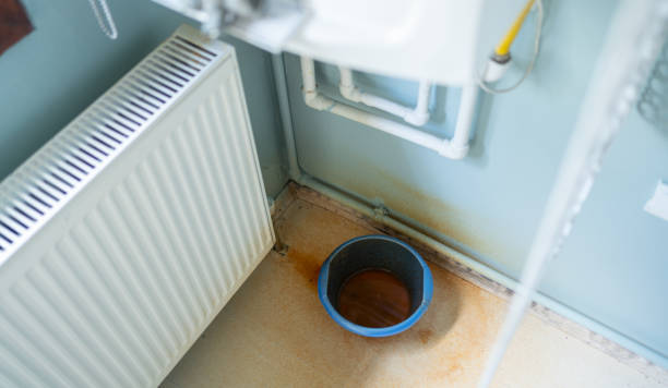 Best Water damage restoration near me  in Kapaa, HI