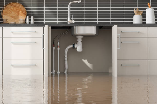 Best Professional water damage repair  in Kapaa, HI