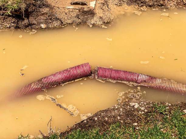 Best Water damage repair service  in Kapaa, HI